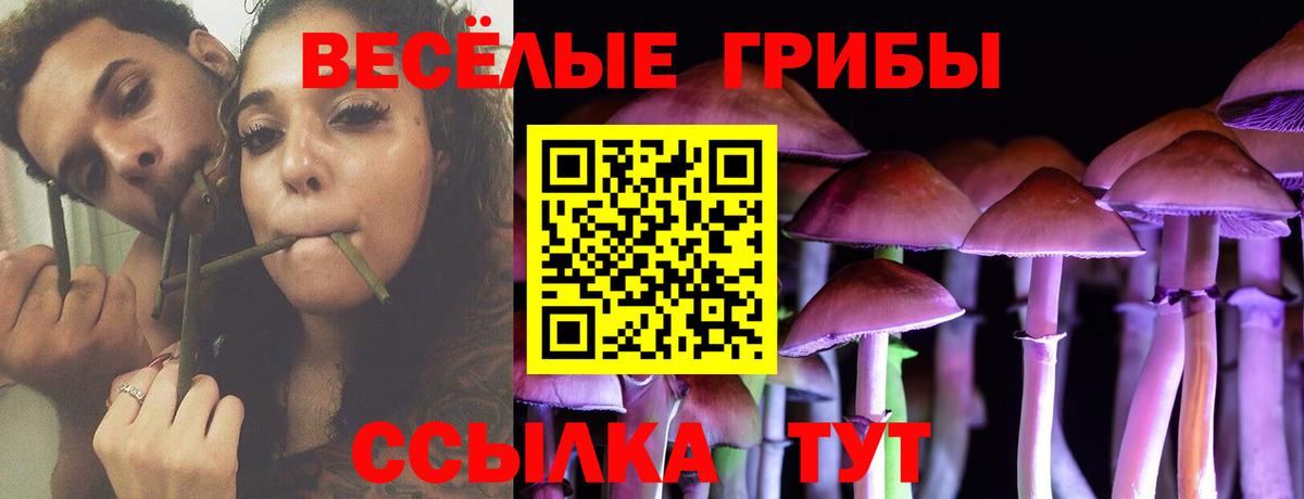 Баксан  Галлюциногенные грибы GOLDEN TEACHER  Псилоцибиновые грибы мицелий  купить наркоту  Вход с VPN 